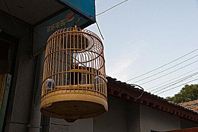 艾丽范宁：《死亡搁浅2》运用了新技术 游戏更加优秀